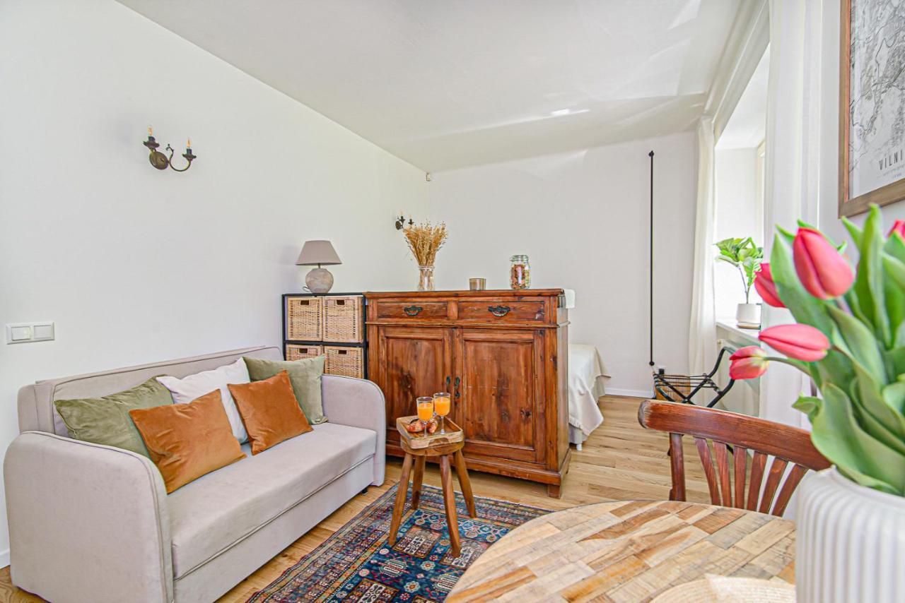 Cozy Studio In The Heart Of Vilnius Old Town Luaran gambar